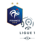 france (1).png