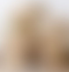 Furniture moving company in Abha