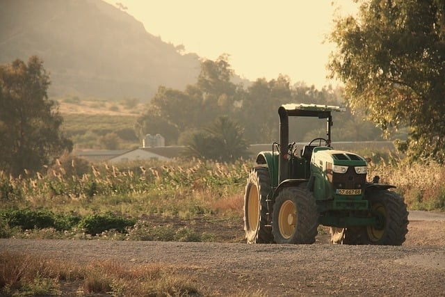 Economic Perspective 12 December 2025