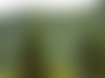 The Economic Perspective 1/16/2026