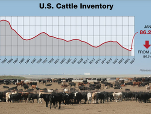 The Economic Perspective 2/6/2026