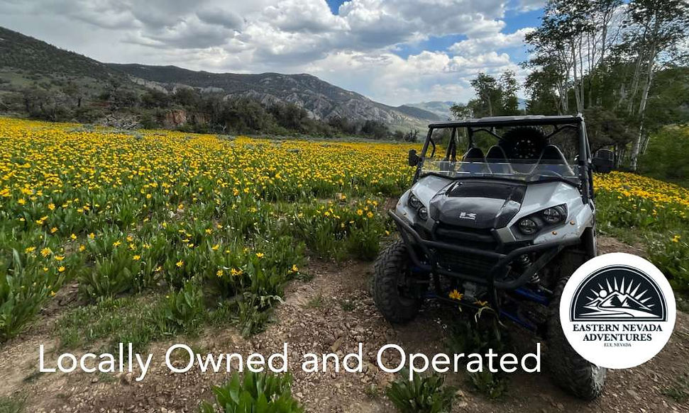 Easter Nevada Adventures OHV.jpg