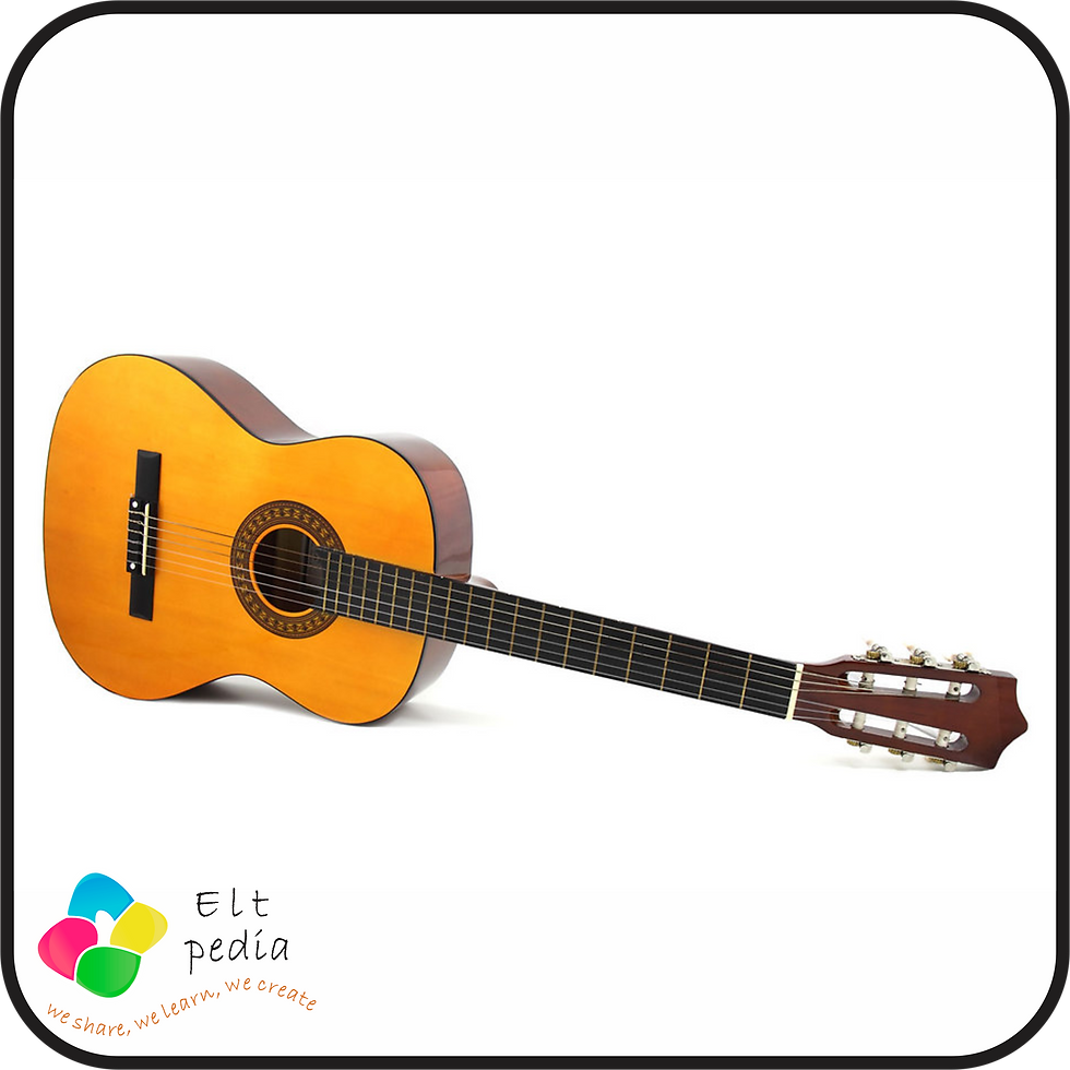 Guitar