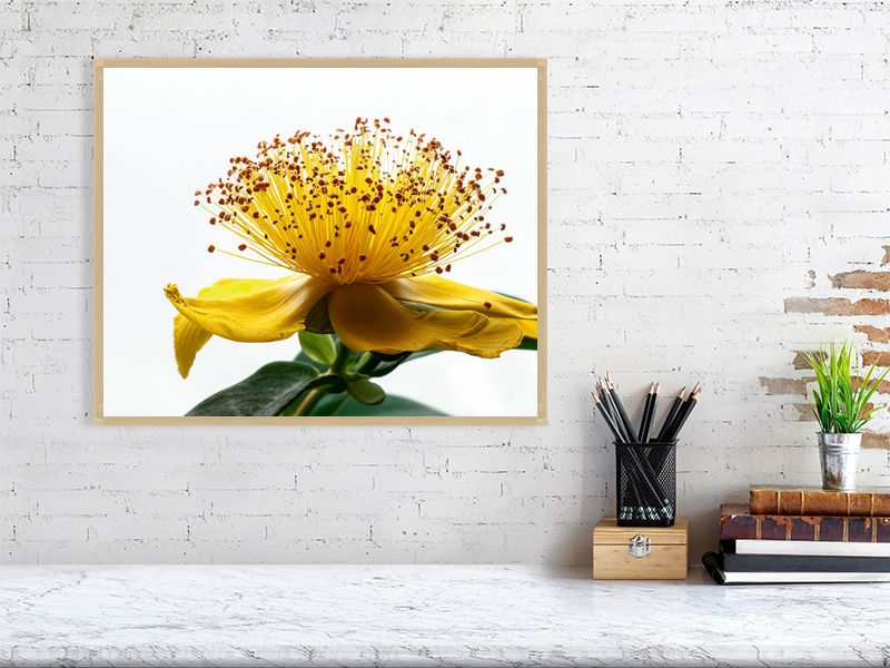 Thumbnail: Pure Botanicals: Gilded Horizon