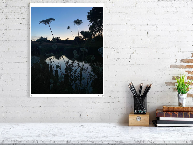 Thumbnail: Evening Lace