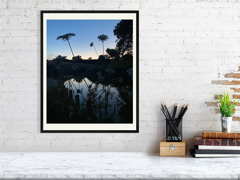 Thumbnail: Evening Lace