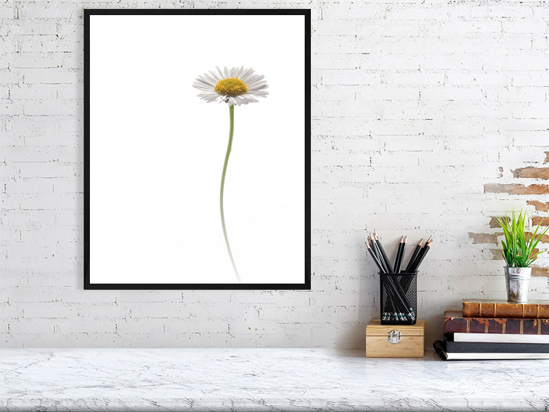 Thumbnail: Pure Botanicals: Solitary Whisper