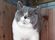 IMG_20241114_094545_0~2.jpg