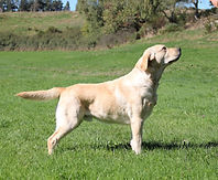 IMG_4177VADIM (31).JPG