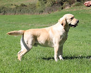 IMG_4177VADIM (42)_edited.jpg