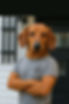 Steve Dogified.jpg