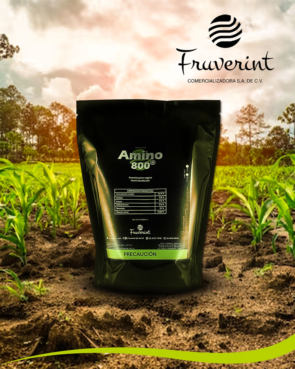 Miniatura: Amino800®