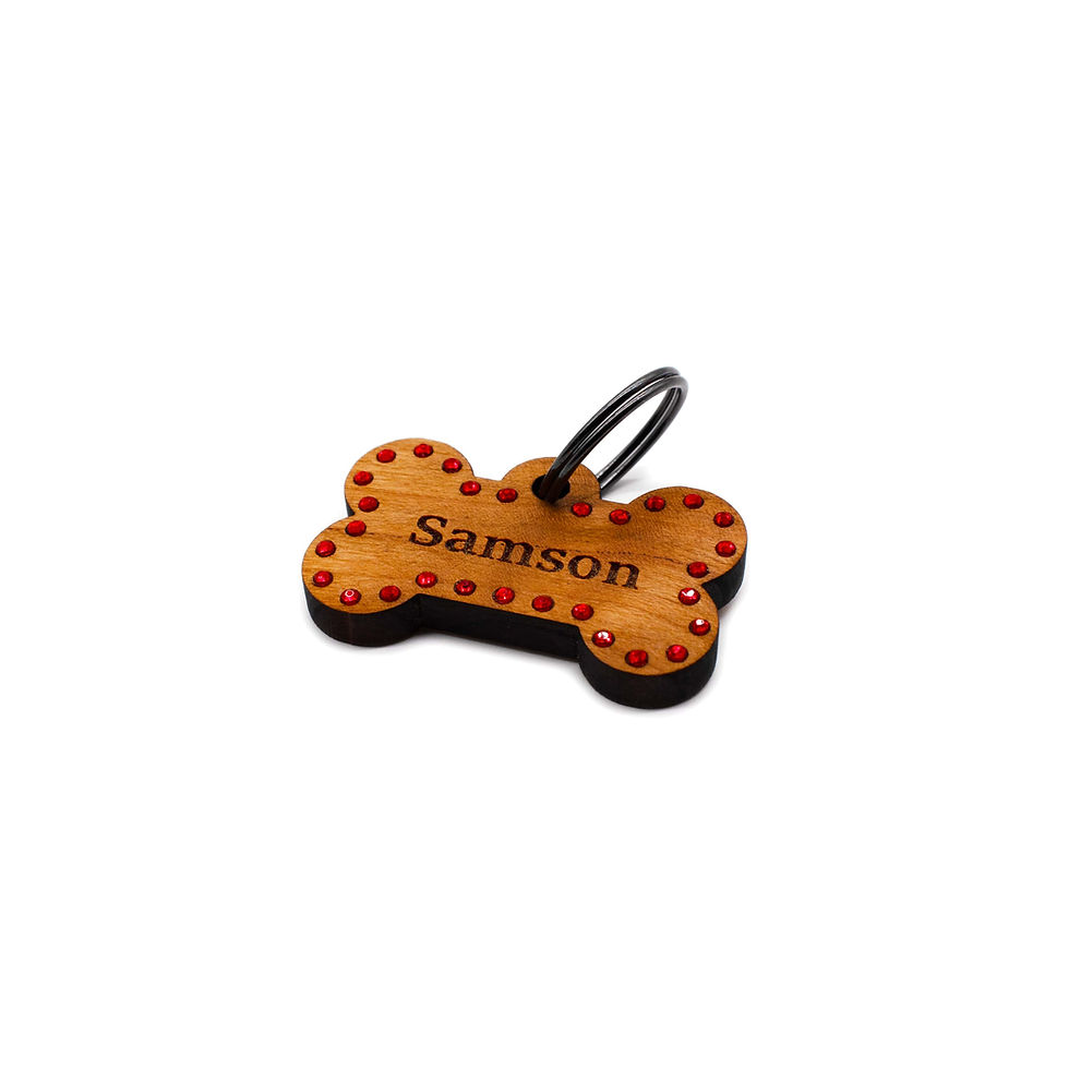 Miniatura: Medaglietta Samson