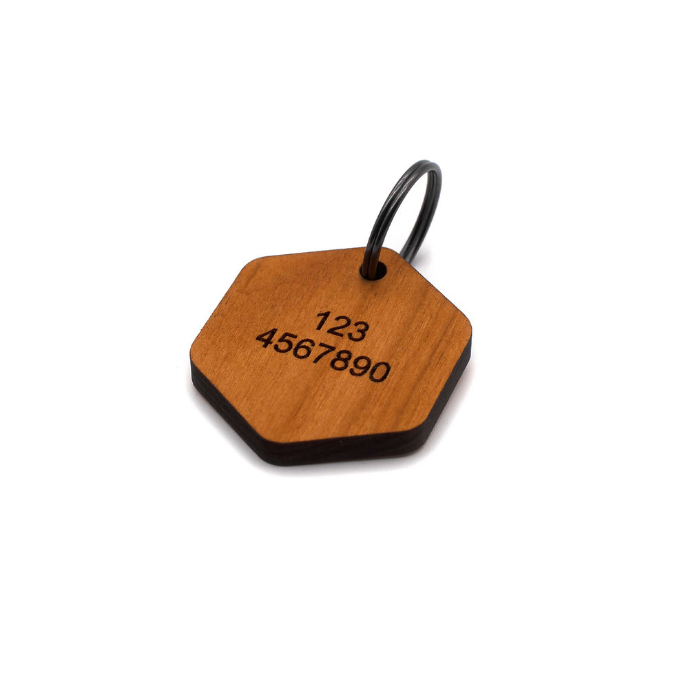 Miniatura: Medaglietta Aron