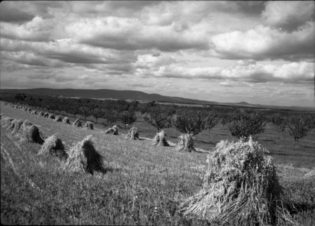 Agriculture et pêche