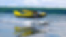 CoyoteFlottant_edited.jpg