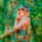 Dreamy double-exposure portrait of a blonde woman in a green forest, wearing a striped top and floral headpiece, gazing upward