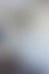 Bathtub and shower surround in Sparta Michigan Division Street apartment bathroom