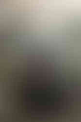 Break area with plants and modern design elements in corporate office renovation