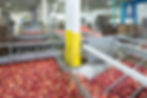 Food processing facility with conveyor systems and fresh produce, highlighting occupant-focused design in commercial construction