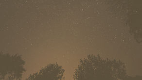 Onder dieselfde ster