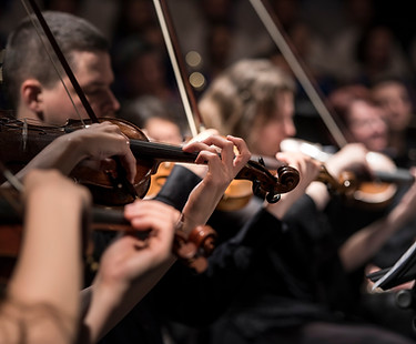 Violin Players