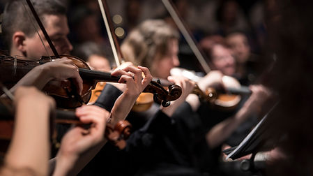 violino Jogadores