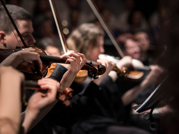 Concert violin players