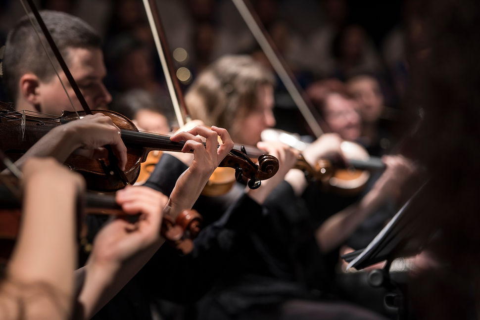 Concert violin players