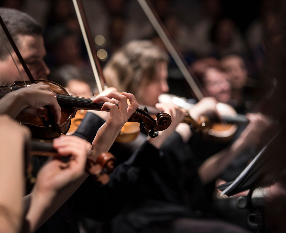 violinisti