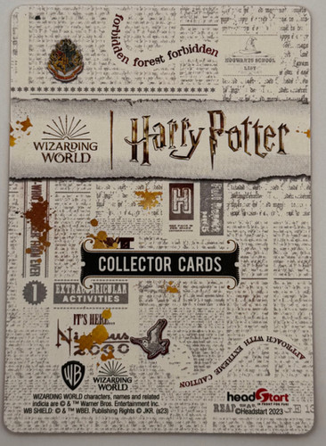 Quidditch Outfit #054 - Headstart Wizarding World of Harry Potter