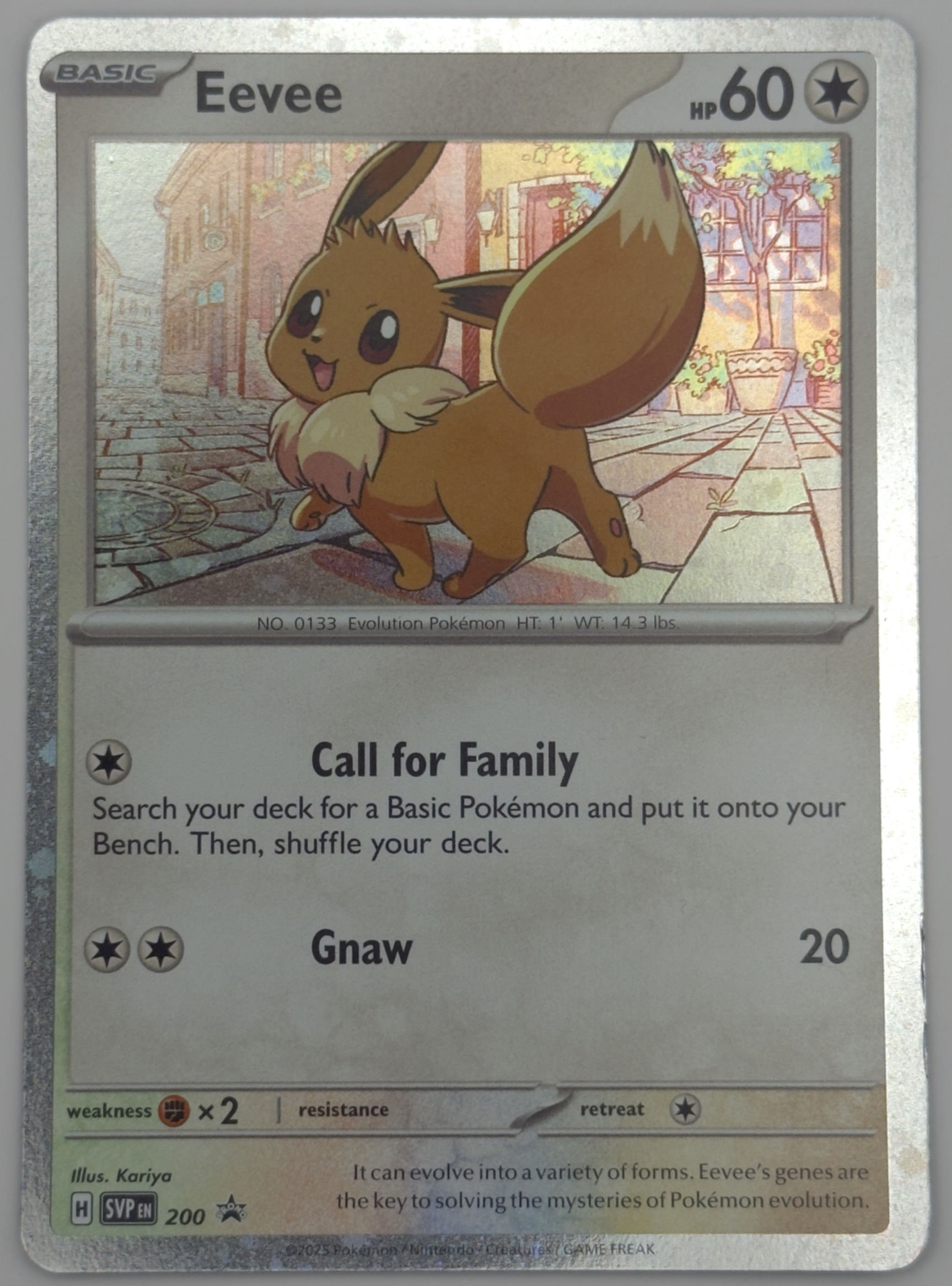 Eevee #200 Pokemon Promo