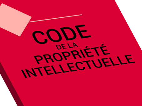NOUVELLE SÉRIE – Droit d’auteur vs Droit à l’image : un duel juridique au cœur de la création 📸