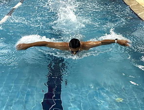 לימוד שחיה למתחילים ומתקדמים