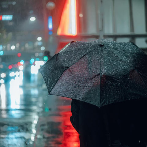 Capturing Life Through the Lens: Daniel's Photography Journey