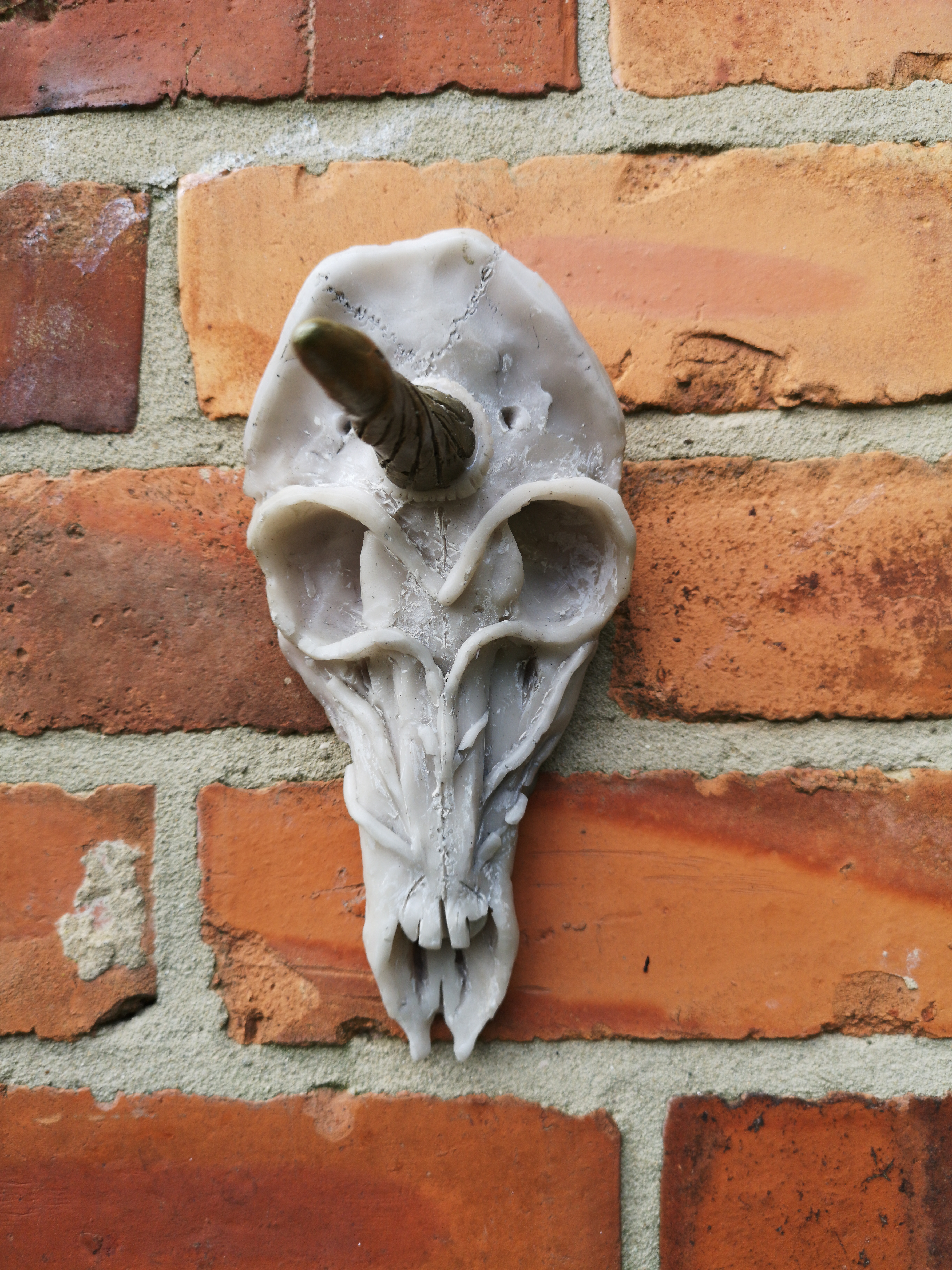 Unicorn Skull