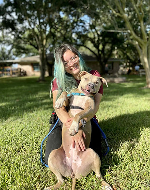 Cultivated Canine Dog Training, Private Lessons, In Home, Pearland, Texas