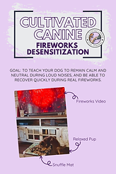Cultivated Canine Fireworks Desensitization.png