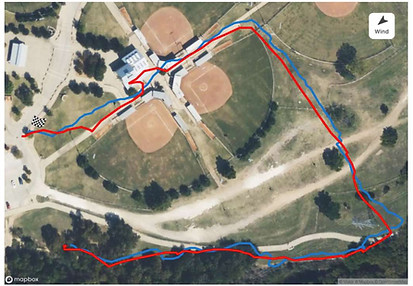 Search, Rescue, Track, Trail, Dog, Pets, Find