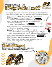 The Sniff Squad, Search and Rescue, K9 Tracking, Canine Tracking, Lost Pet, Lost Dog, Lost Cat, Missing Person