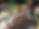 493685670_9987664241292067_331084399994850953_n.jpg