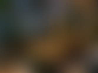 Thiết Kế Nhà Hàng Sân Vườn Mini – Giải Pháp Không Gian Xanh Thu Hút Khách Hàng