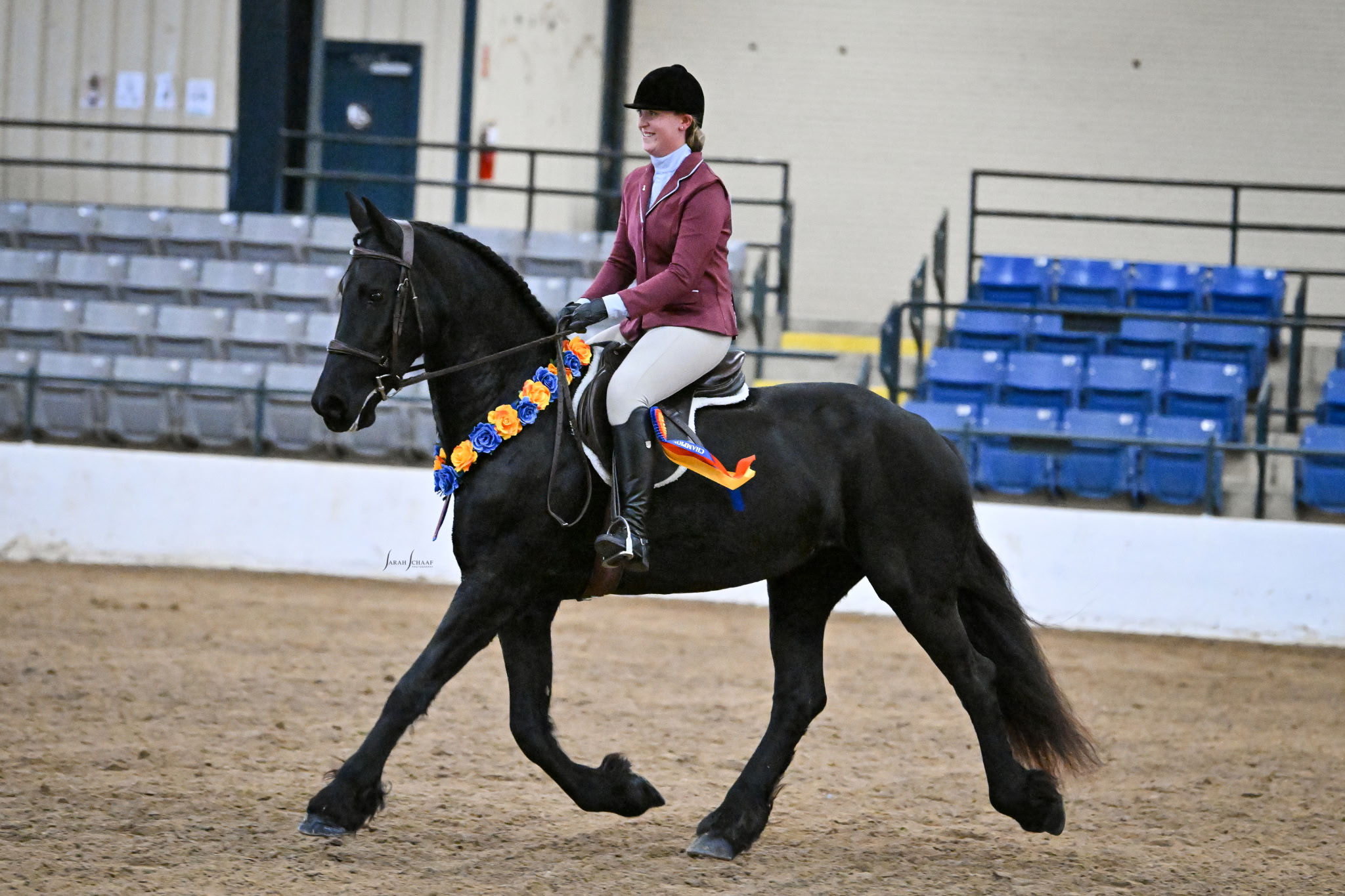 SOLD - "Africa" 9 yr old purebred Friesian mare