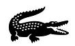 croc-235x144.jpg