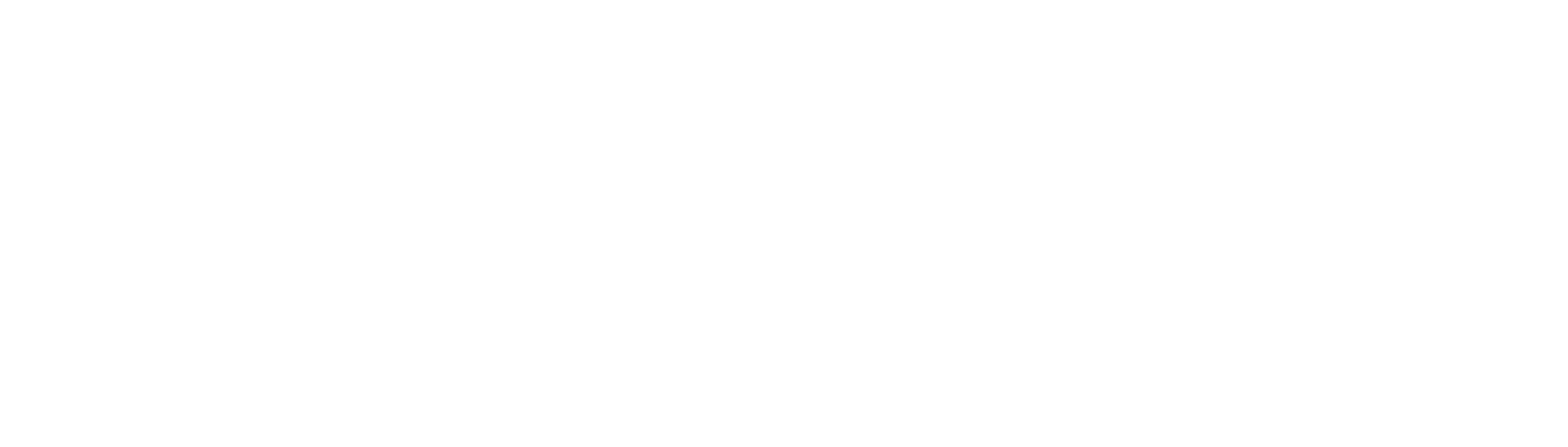 logo7-white.png