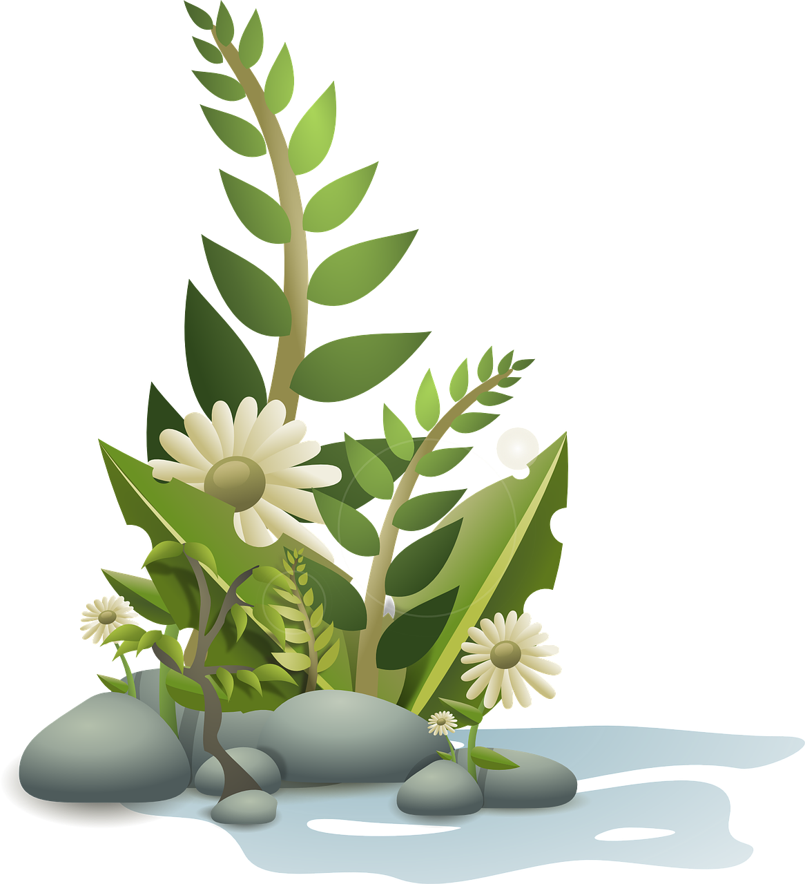 flowers-34592_1280.webp