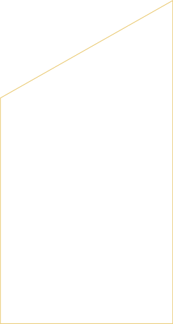 IL_Shape Outline.png