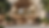 bdaf150a5cd3905a5ea2bd850c265780.png