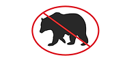 no bear.png