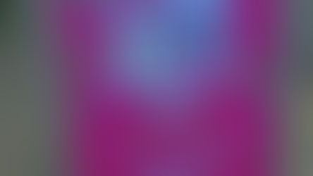 MASSEMBAND X ART EXHIBITION 2025